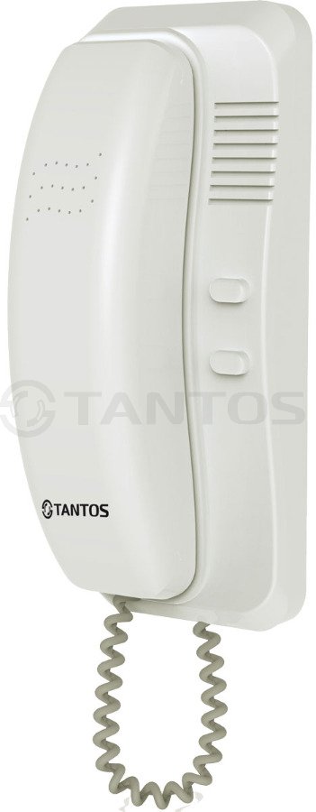 Домофон специальной модификации  Tantos TS-ADD